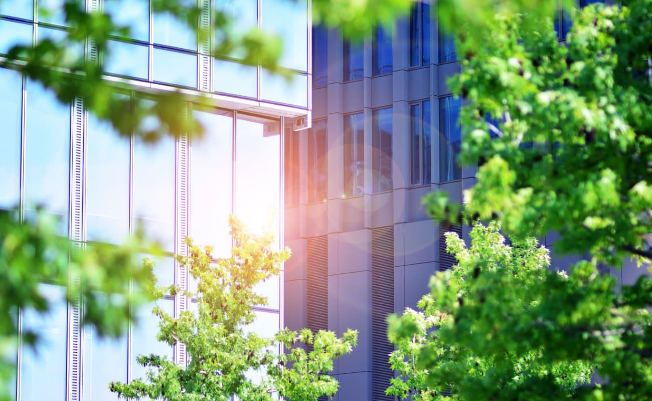 A view of a modern glass office tower seen between tree branches