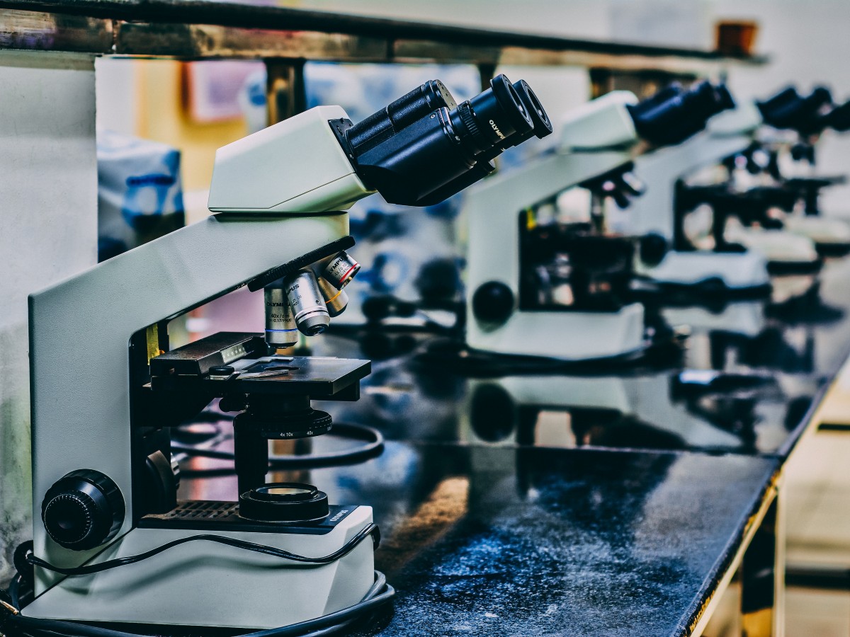 Microscopes in a laboratory