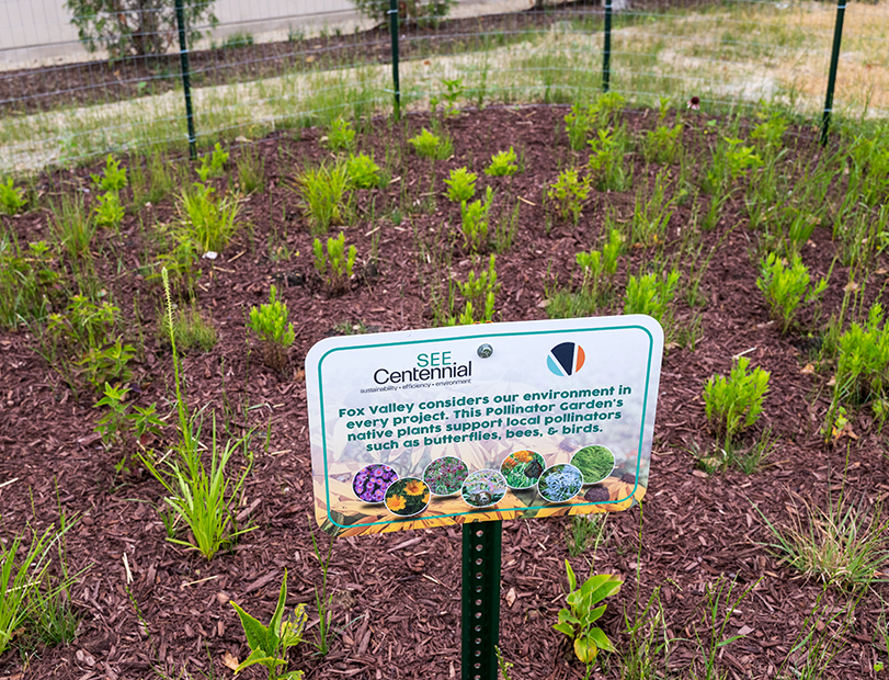 Centennial created a green space where a department store once stood that hosts events and features walking trails; a dog park; and a pollinator garden to support butterflies, bees and birds.  Photo courtesy of Centennial      