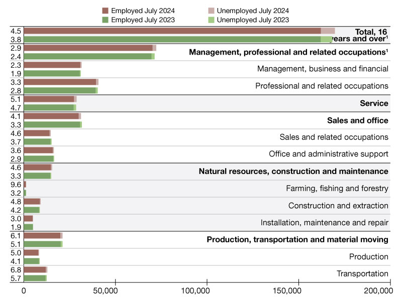 U.S. unemployment statistics as of July 2024