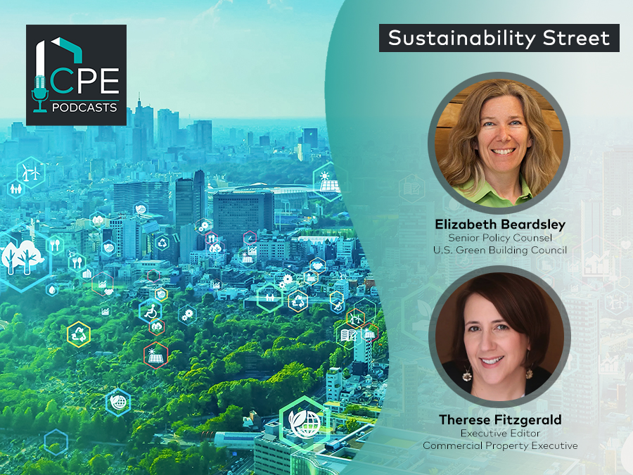 podcast art with Elizabeth Beardsley, guest on Sustainability  Street podcast