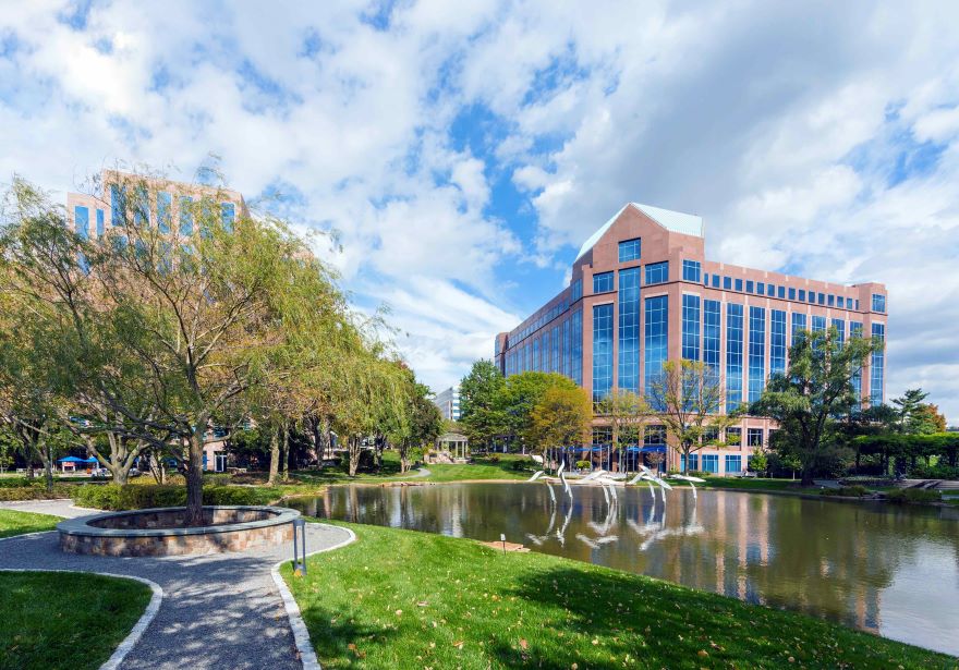 Office building with pond and tree in the foreground